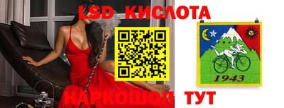 тгк Аргун