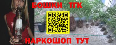 тгк Аргун