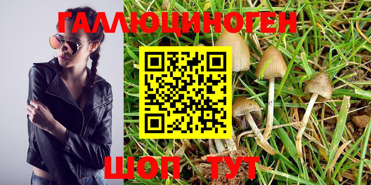 Галлюциногенные грибы Magic Shrooms Гурьевск